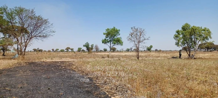 Agricultural Plots  (Sole Mandate)