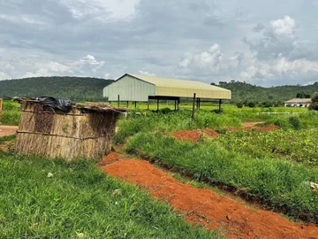 Farm & Agricultural Land