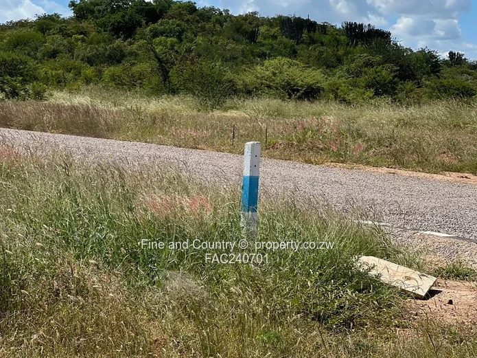 Wilsgrove Residential & Commercial Stands (Sole Mandate)