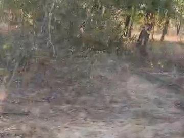 Farm & Agricultural Land