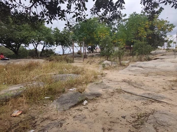 Shop & Retail Property