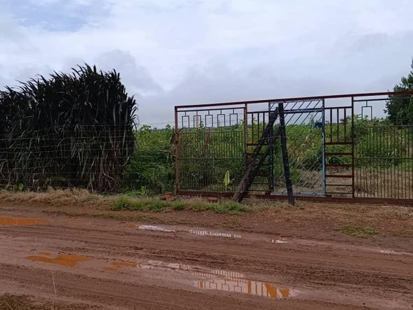 Farm & Agricultural Land