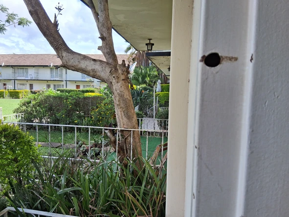 2 Bedroom Garden Flat