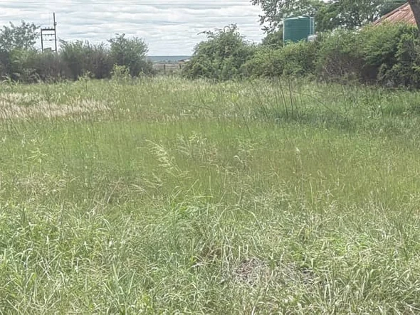 North Lynne Land