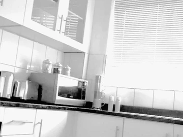 Flat & Apartment