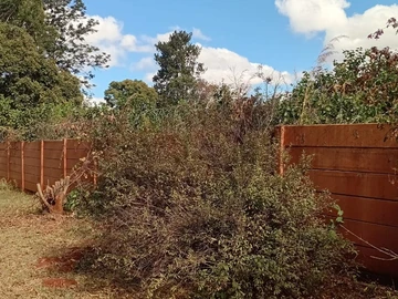 Stands & Residential Land