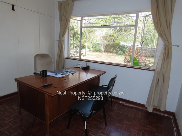 Position and Potential in Alexandra Park!