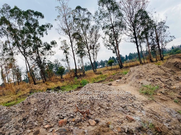 Spitzkop Gardens: Your Dream Home Awaits!