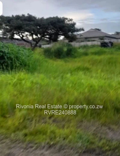 Ideal for immaculate residential house