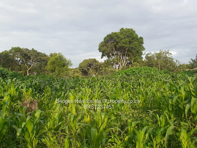 Property Development 101! The stuff of dreams!