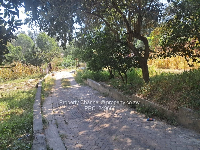 Land with cottage