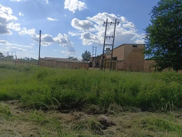 Farm & Agricultural Land
