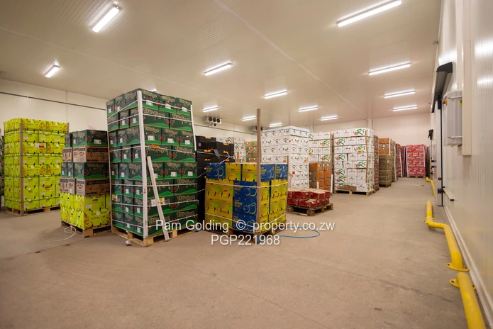 Prime Freight Forwarding Logistics Hub for Sale – Adjacent to Robert Gabriel Mugabe  Airport  (Sole Mandate)