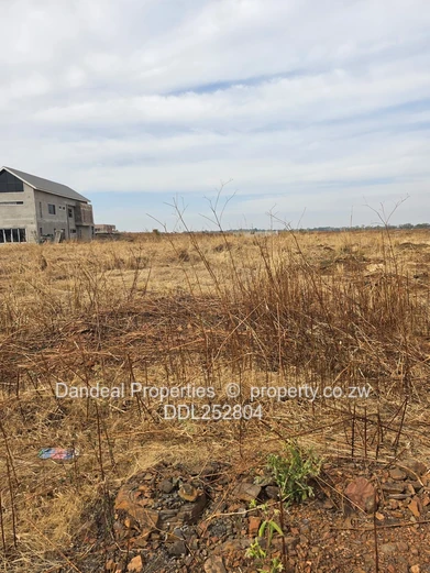 A choice of 3 stands. 2000 sqm Pomona Stand on Paved Road with Drainage