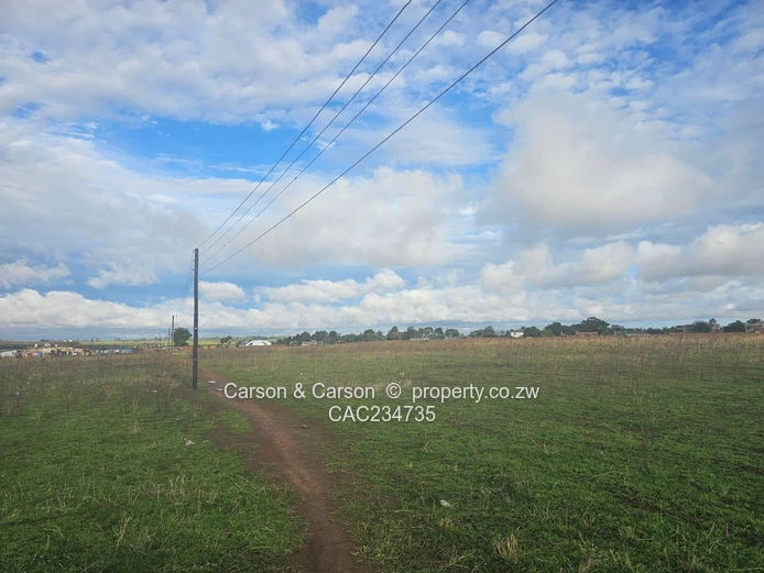 Cluster stands for sale