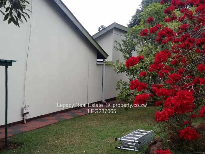 Executive Furnished Garden Flat with Solar & Generator – Avondale