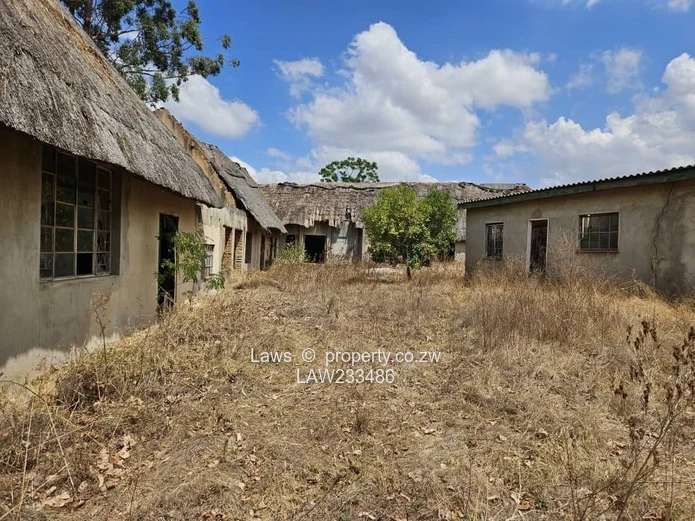 Perfect for development!