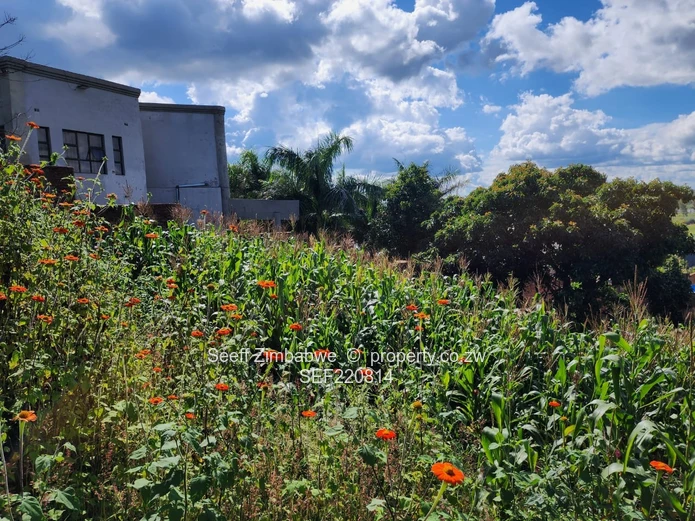 Panoramic Views Await: Prime Residential Stand in Prestigious Pomona!