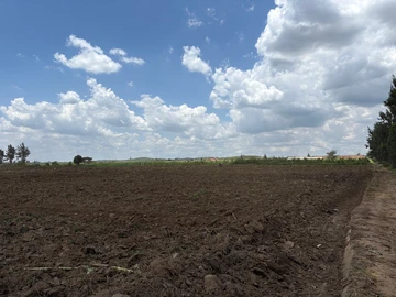 Farm & Agricultural Land