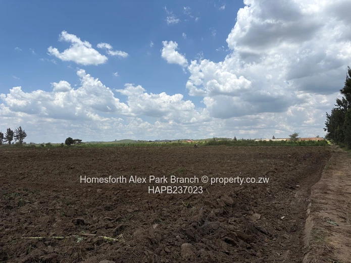 Rare Gem in Rainham Agro Plots residential