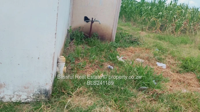 Glen Norah Shop Stand For Sale