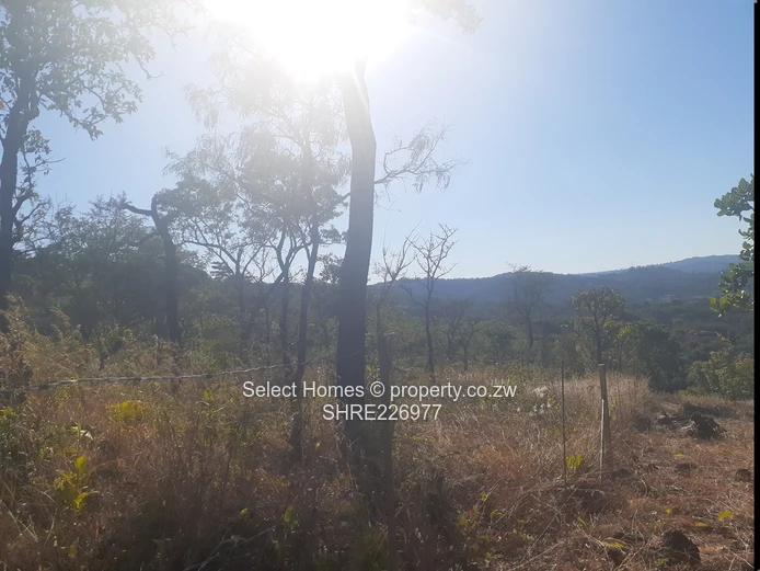 Shawasha Hills Land For Sale