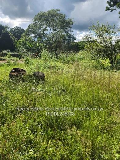 Greystone Park: 4-Bed Home on 9,185 m² with Pool & Borehole