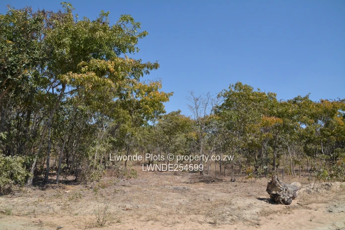 1ha Goromonzi Farm — Arable Field by Gravel Main Road