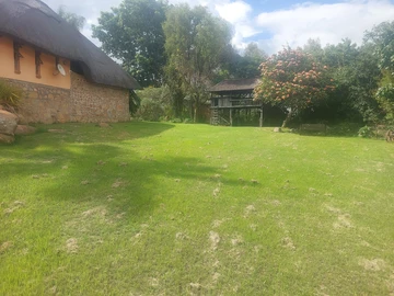 Farm & Agricultural Land