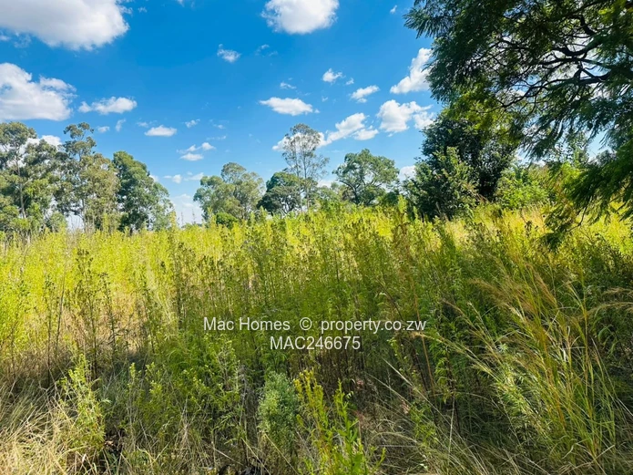 Prime 6.3091 hectares Land for Sale – Along Tarisa Road, Springvale, Ruwa  (Sole Mandate)