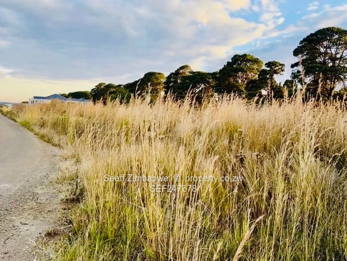 Pomona City Stand- Ready to build (Sole Mandate)