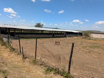 Farm & Agricultural Land