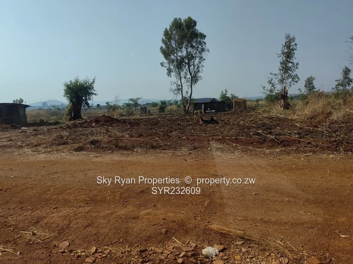 Crowhill Cleverhill stand for sale 