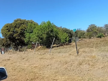 Farm & Agricultural Land