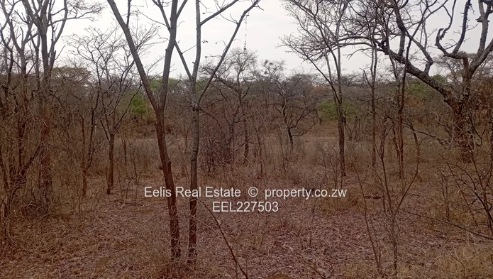 Gweru Plots for sale 