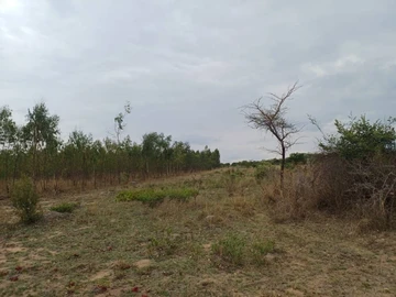 Farm & Agricultural Land