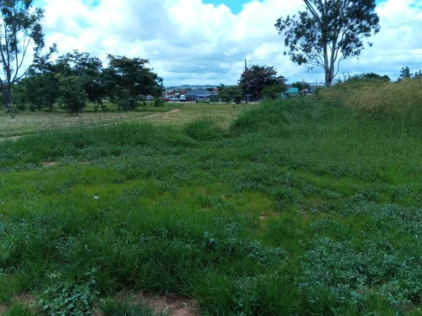 Commercial & Industrial Land