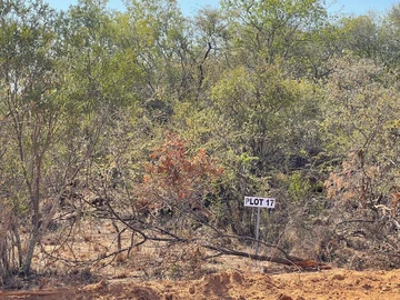 Farm & Agricultural Land