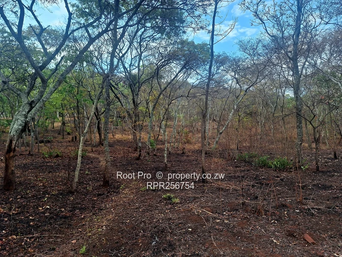 Well-treed Lake Chivero Stand (taking mortgage). . . (Sole Mandate)