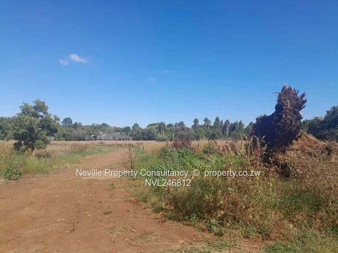 Prime 2000 m² Quinnington Stand — Tarred Roads, Trees