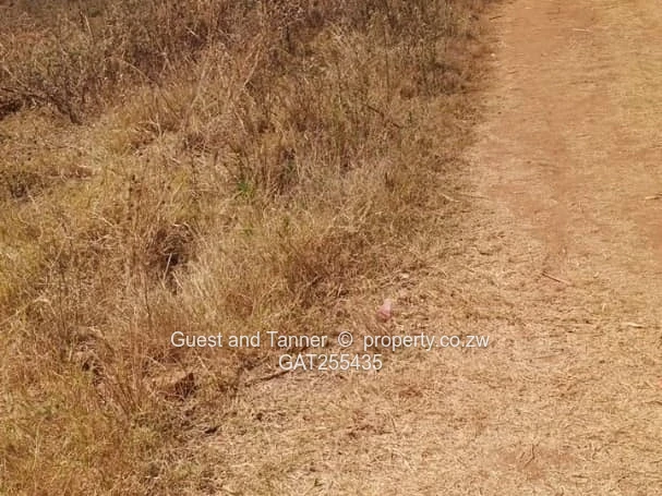 Charlotte Brooke – 2,000Sqm Stand With Title Deeds For Sale