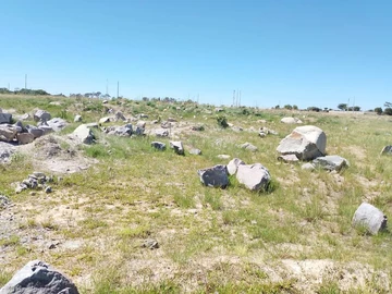 Stands & Residential Land