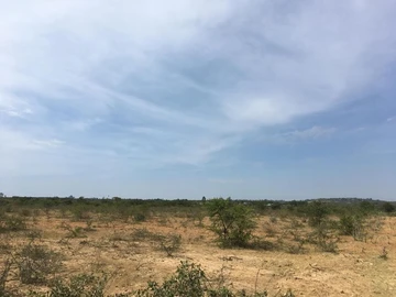Farm & Agricultural Land