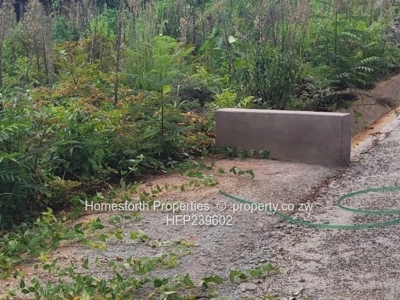 Great Opportunity!!!