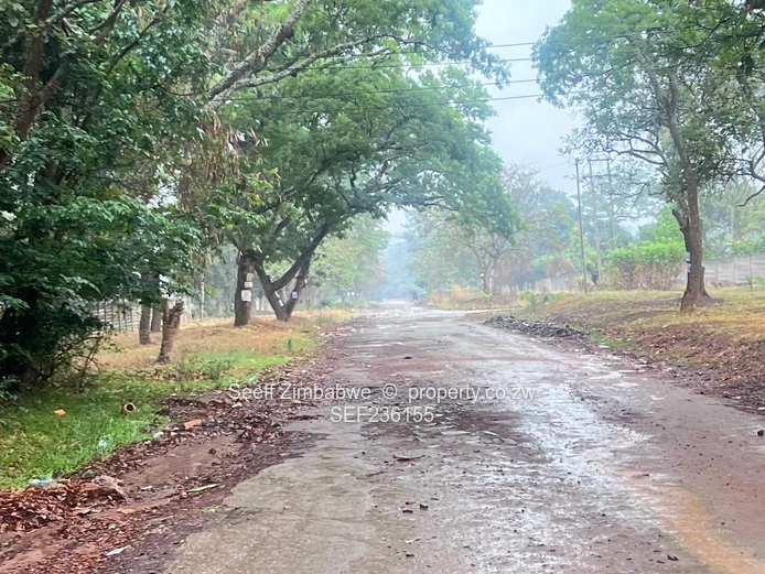 Land For Sale In Mandara