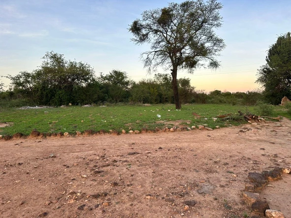 Farm & Agricultural Land