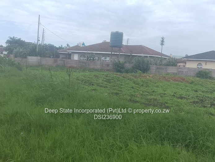 Bluff hill stand for sale 