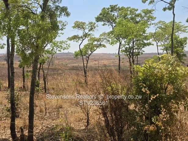 Massive development land for sale along Crowhill Road 