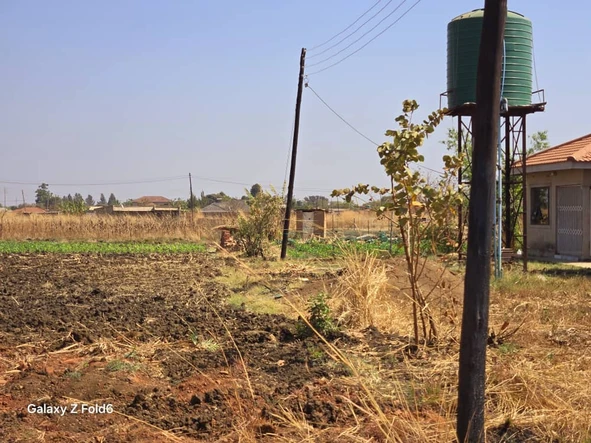 Stands & Residential Land