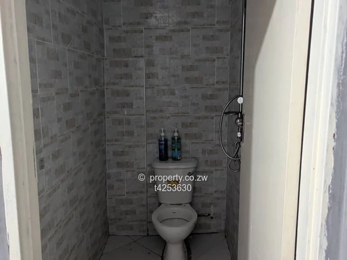 Malborough bachelor pad to rent  (Sole Mandate)
